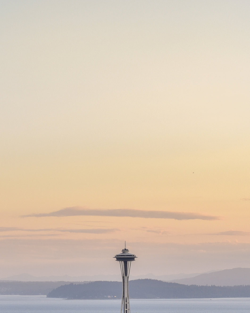 Space Needle